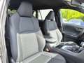 Toyota RAV 4 Plug-in-Hybrid Teamplayer (XA5) Gris - thumbnail 15