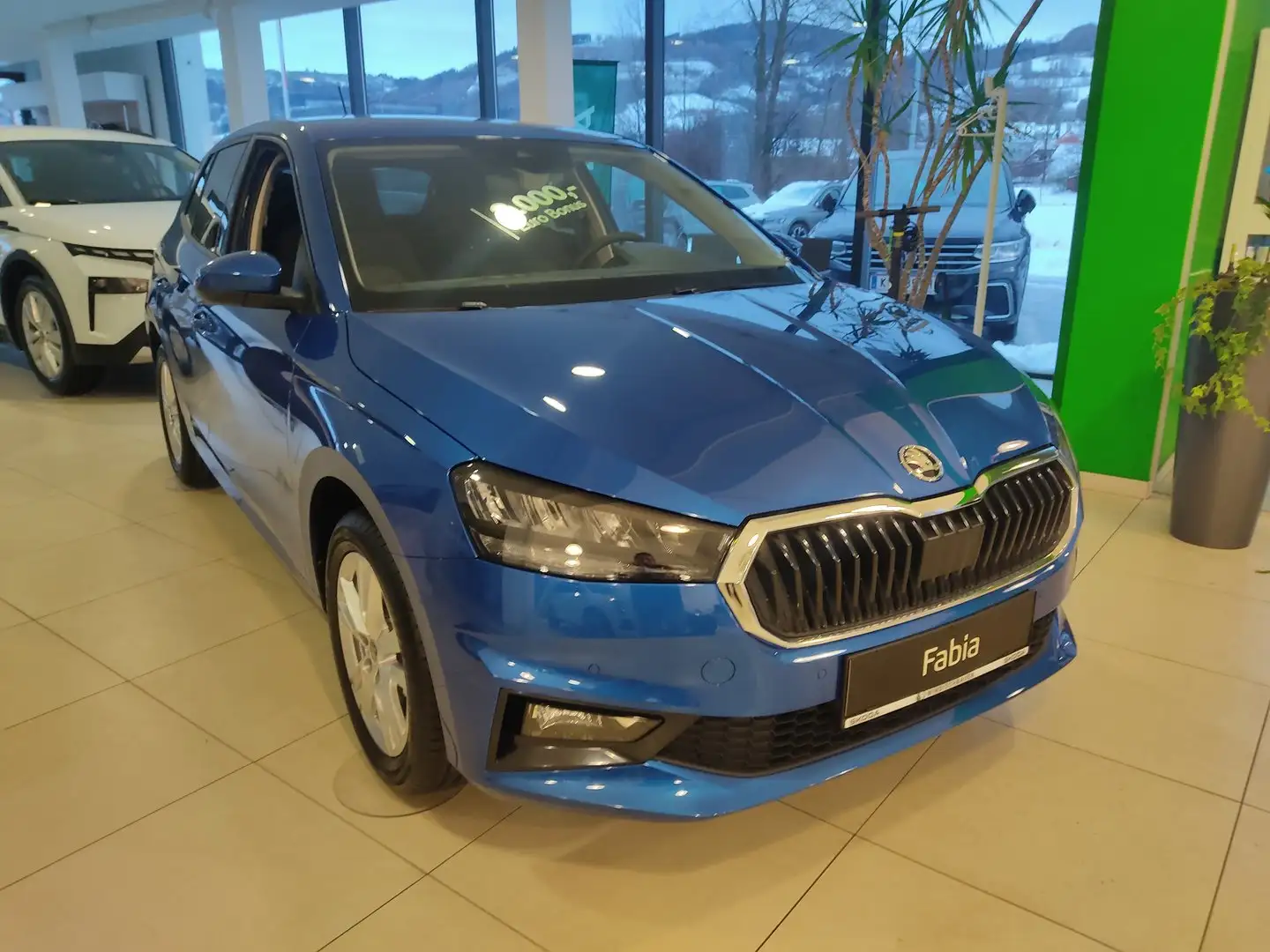 Skoda Fabia Selection TSI Blau - 2