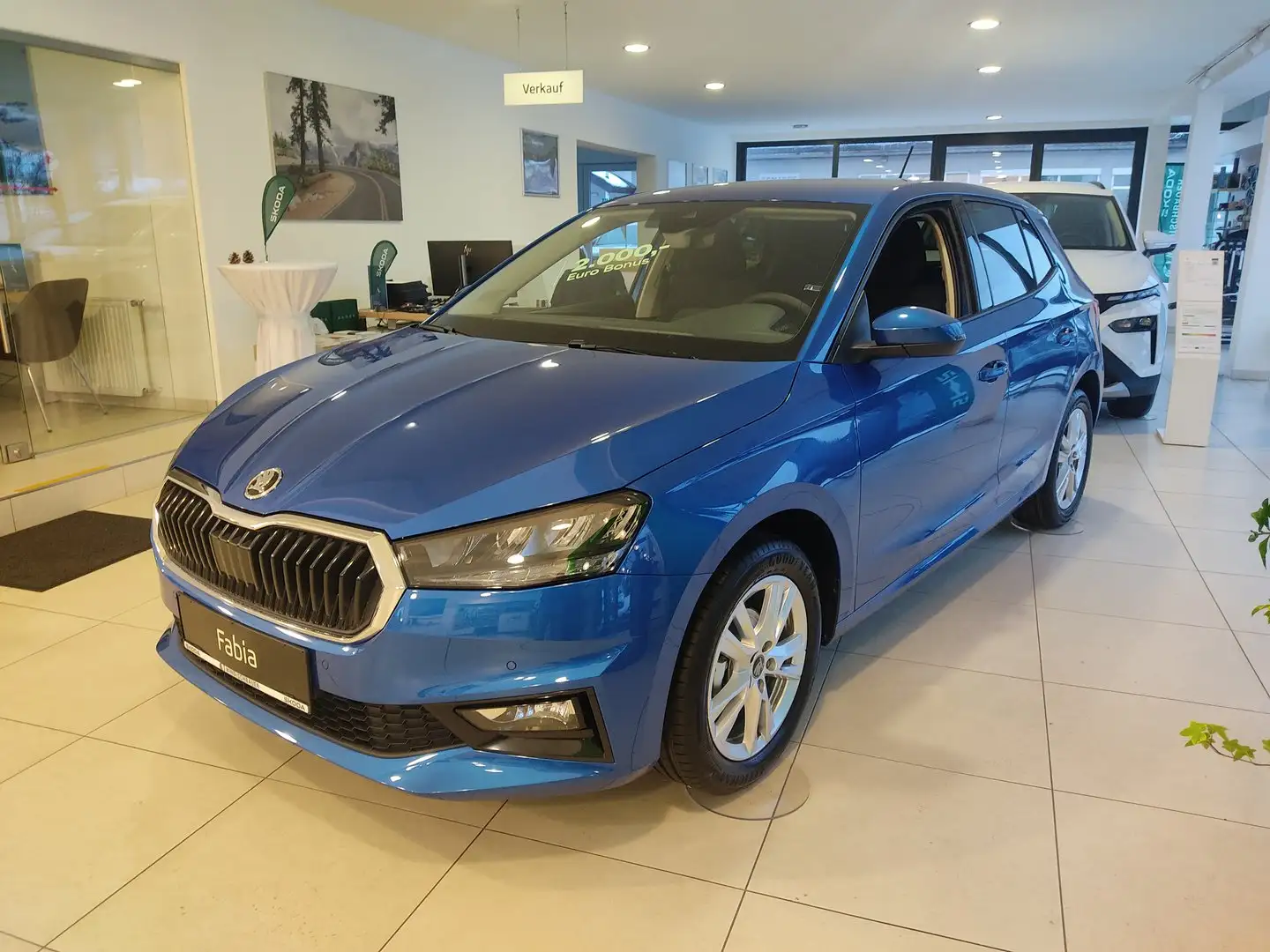 Skoda Fabia Selection TSI Blau - 1