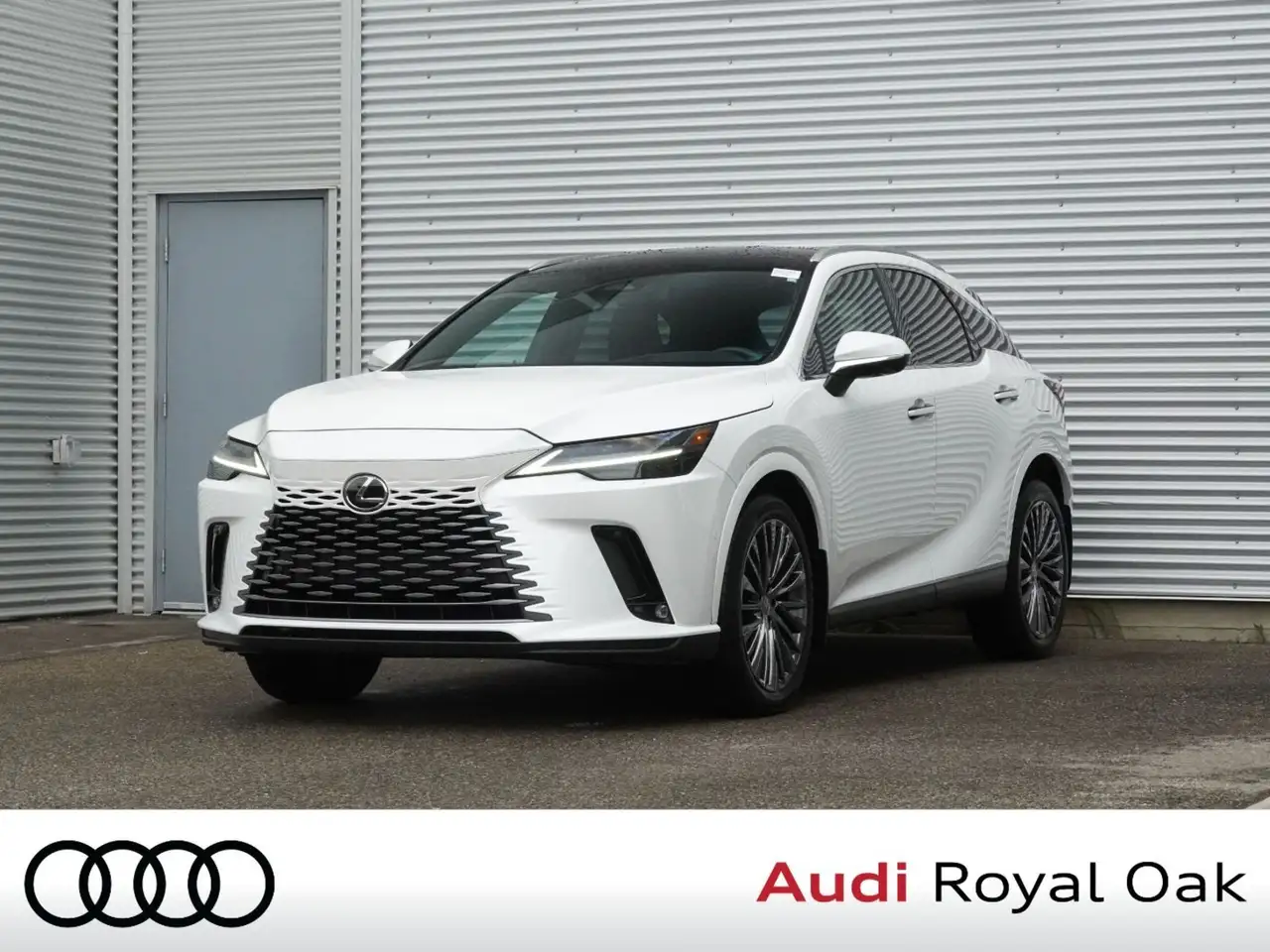 2024 Lexus RX