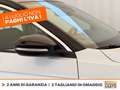 Volkswagen T-Roc 1.0 tsi life 110cv Bianco - thumbnail 16