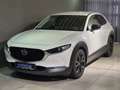 Mazda CX-30 Homura G-150 Navi/Head-Up/LED/Kamera/el. Heckklapp Blanco - thumbnail 1
