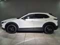 Mazda CX-30 Homura G-150 Navi/Head-Up/LED/Kamera/el. Heckklapp Blanco - thumbnail 3