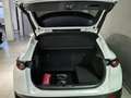 Mazda CX-30 Homura G-150 Navi/Head-Up/LED/Kamera/el. Heckklapp Blanco - thumbnail 5