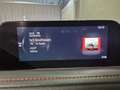 Mazda CX-30 Homura G-150 Navi/Head-Up/LED/Kamera/el. Heckklapp Blanco - thumbnail 14