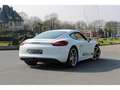 Porsche Cayman Cayman 3.4i - BV PDK  TYPE 981 COUPE S Weiß - thumbnail 6
