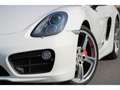 Porsche Cayman Cayman 3.4i - BV PDK  TYPE 981 COUPE S Weiß - thumbnail 29