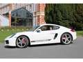 Porsche Cayman Cayman 3.4i - BV PDK  TYPE 981 COUPE S Weiß - thumbnail 50