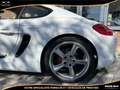 Porsche Cayman Cayman 3.4i - BV PDK  TYPE 981 COUPE S Weiß - thumbnail 24