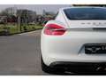 Porsche Cayman Cayman 3.4i - BV PDK  TYPE 981 COUPE S Weiß - thumbnail 31