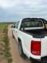 Volkswagen Amarok Amarok DoubleCab Trendline 3,0 TDI 4Motion Trendline Weiß - thumbnail 5