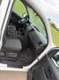 Volkswagen Amarok Amarok DoubleCab Trendline 3,0 TDI 4Motion Trendline Weiß - thumbnail 13