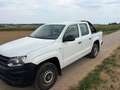 Volkswagen Amarok Amarok DoubleCab Trendline 3,0 TDI 4Motion Trendline Weiß - thumbnail 1