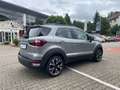 Ford EcoSport Active 1.0 EcoBoost Technik-Winter-Paket, Allwette Silber - thumbnail 14