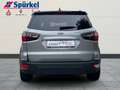 Ford EcoSport Active 1.0 EcoBoost Technik-Winter-Paket, Allwette Silber - thumbnail 5