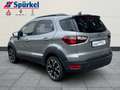 Ford EcoSport Active 1.0 EcoBoost Technik-Winter-Paket, Allwette Silber - thumbnail 4