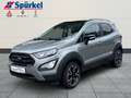 Ford EcoSport Active 1.0 EcoBoost Technik-Winter-Paket Silber - thumbnail 1