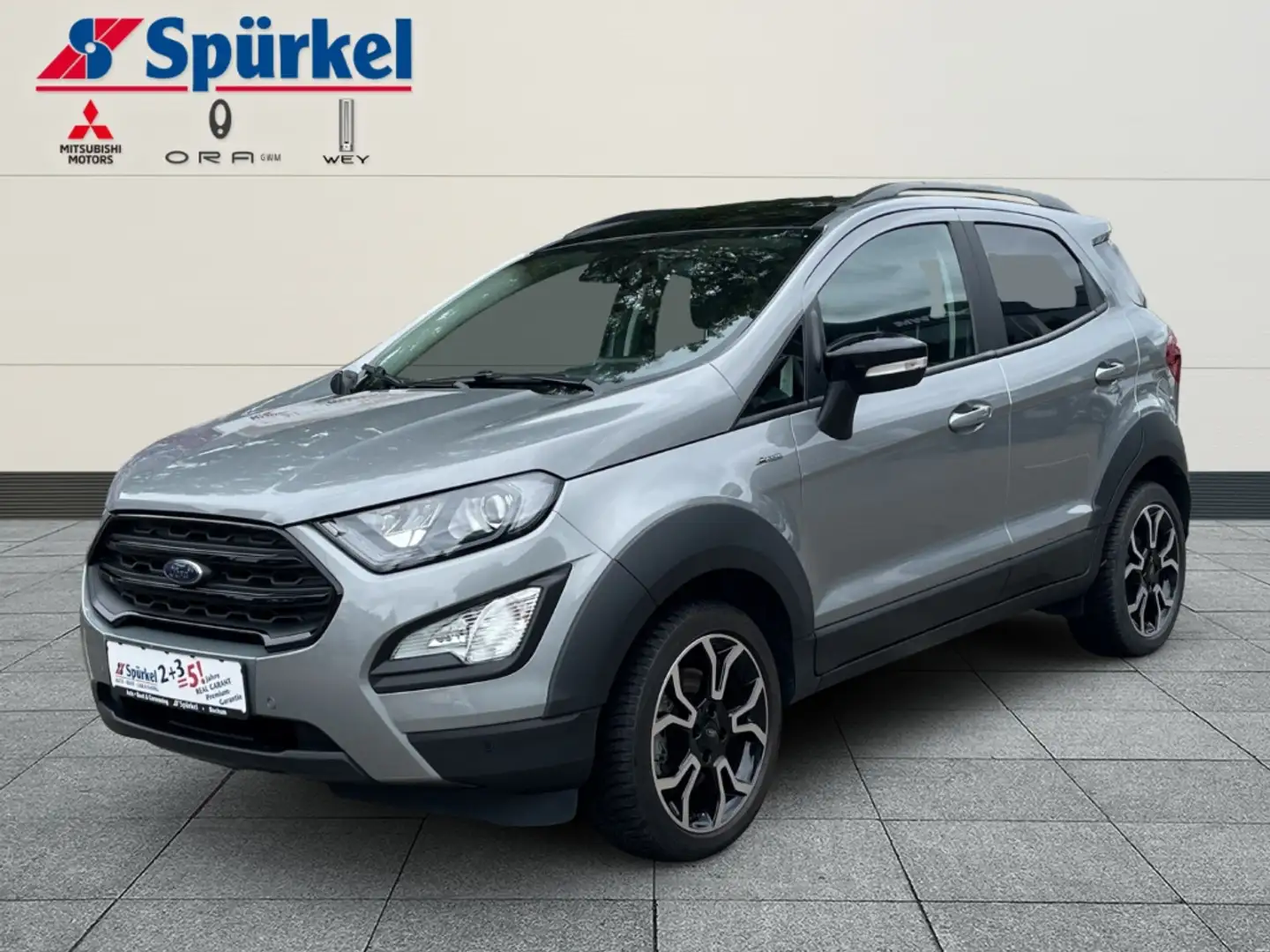 Ford EcoSport Active 1.0 EcoBoost Technik-Winter-Paket Silber - 1