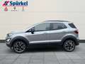 Ford EcoSport Active 1.0 EcoBoost Technik-Winter-Paket Silber - thumbnail 2