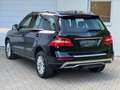 Mercedes-Benz ML 250 CDI BlueTec 4Matic EU6/AHK/VollLeder/Bi-X Schwarz - thumbnail 5