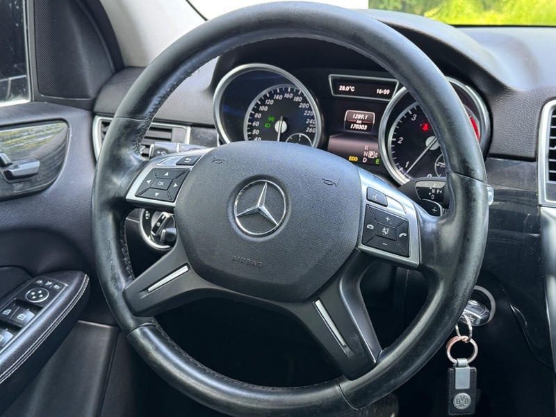Mercedes-Benz ML 250 CDI BlueTec 4Matic EU6/AHK/VollLeder/Bi-X — photo 12