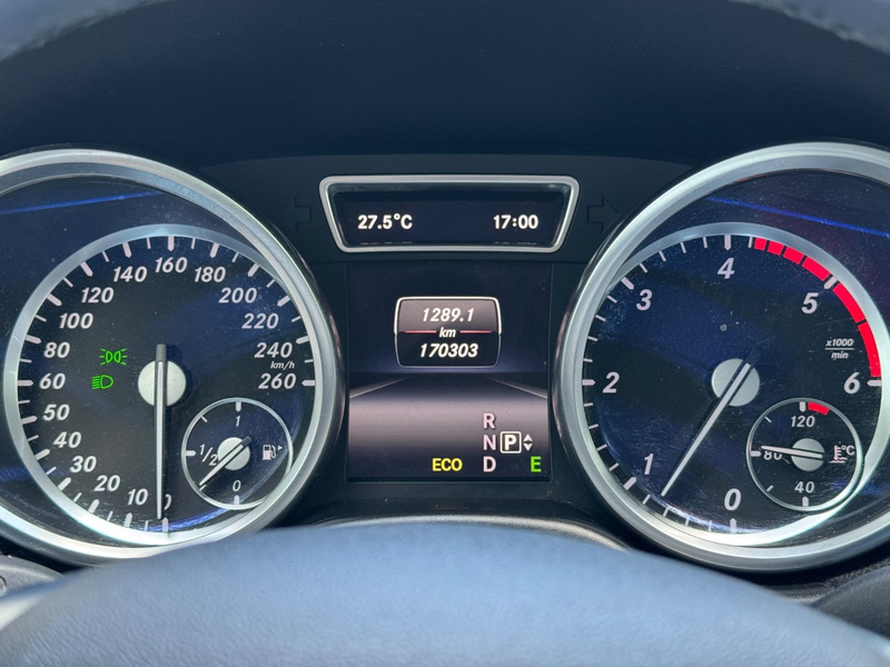 Mercedes-Benz ML 250 CDI BlueTec 4Matic EU6/AHK/VollLeder/Bi-X — photo 13