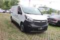 Opel Vivaro Kasten L2H1  2,9t Weiß - thumbnail 4