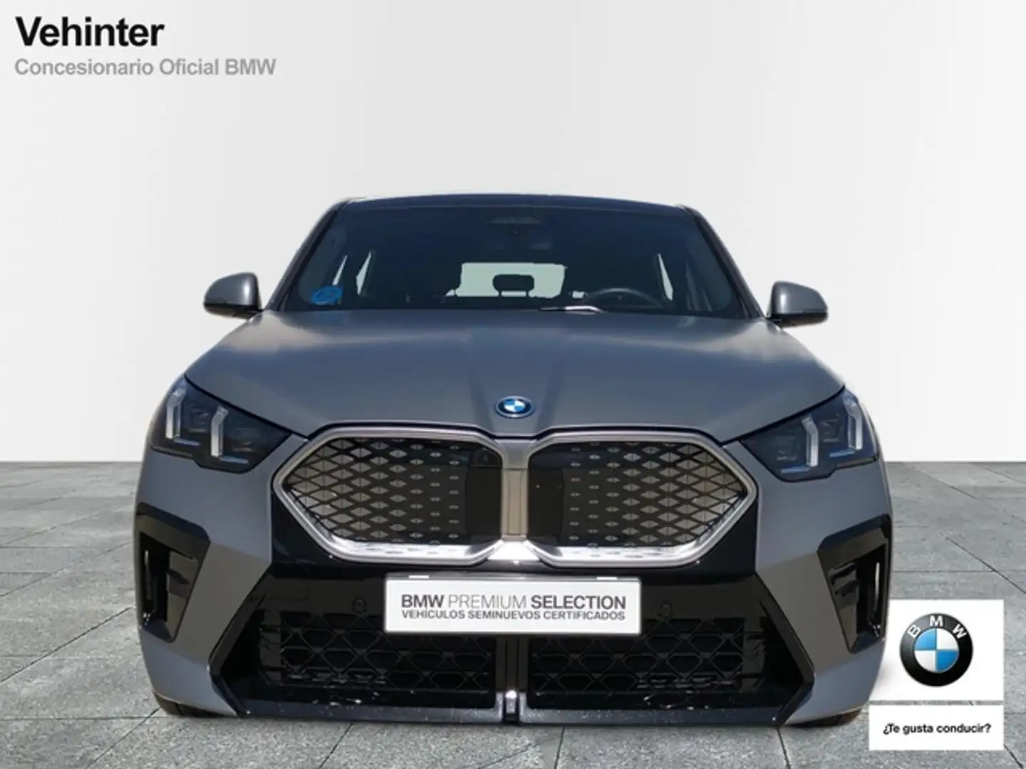 BMW iX2 xDrive30A Gris - 2