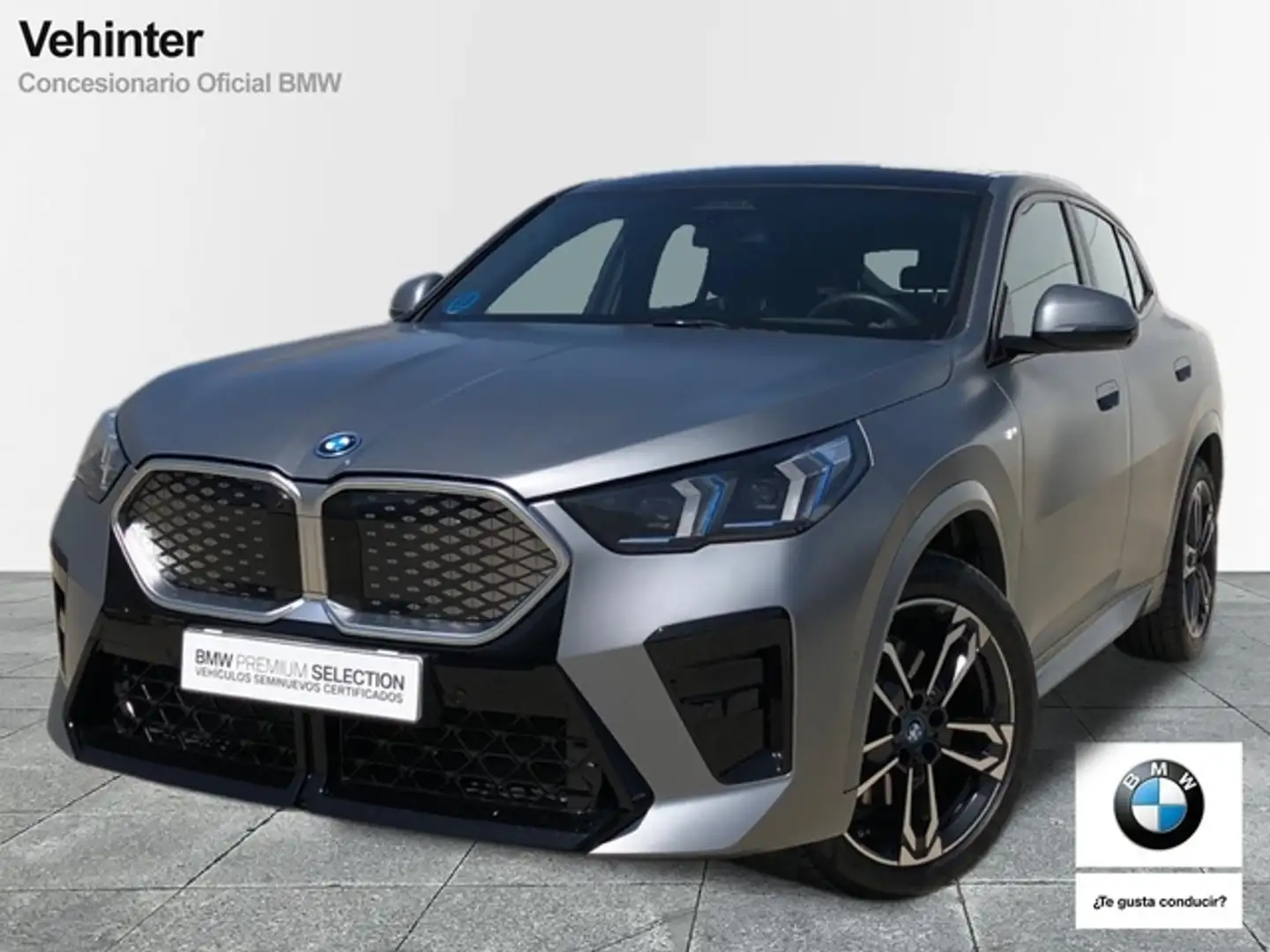 BMW iX2 xDrive30A Gris - 1