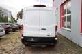 Ford Transit 350 L2 |Anhängevorrcihtung|Totwinkel-Assistent Weiß - thumbnail 8