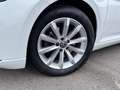 Volkswagen Passat Variant Passat Variant 2.0 TDI SCR DSG Business Bianco - thumbnail 9