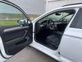 Volkswagen Passat Variant Passat Variant 2.0 TDI SCR DSG Business Bianco - thumbnail 13