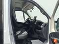 Fiat Ducato 2.3 Blanco - thumbnail 13