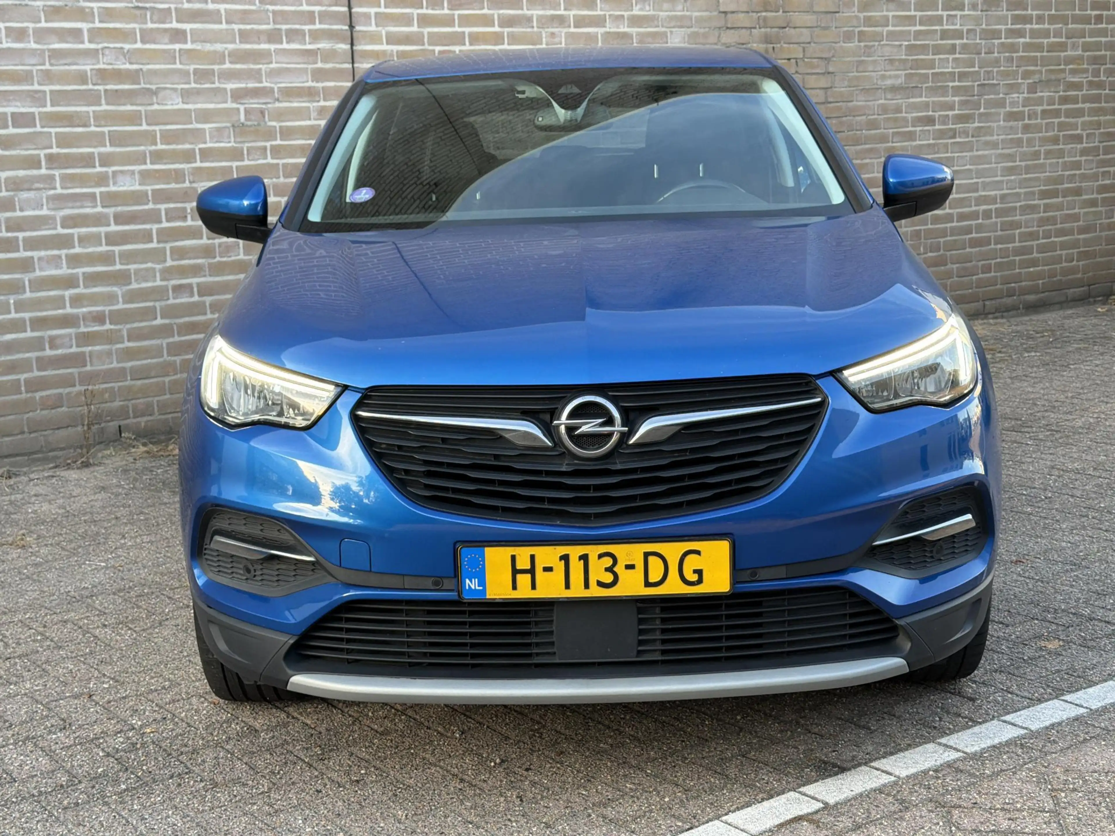 Opel Grandland X 1.2 Turbo Business Executive | Cruise | Climate | — photo 4