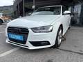 Audi A4 Attraction Weiß - thumbnail 12