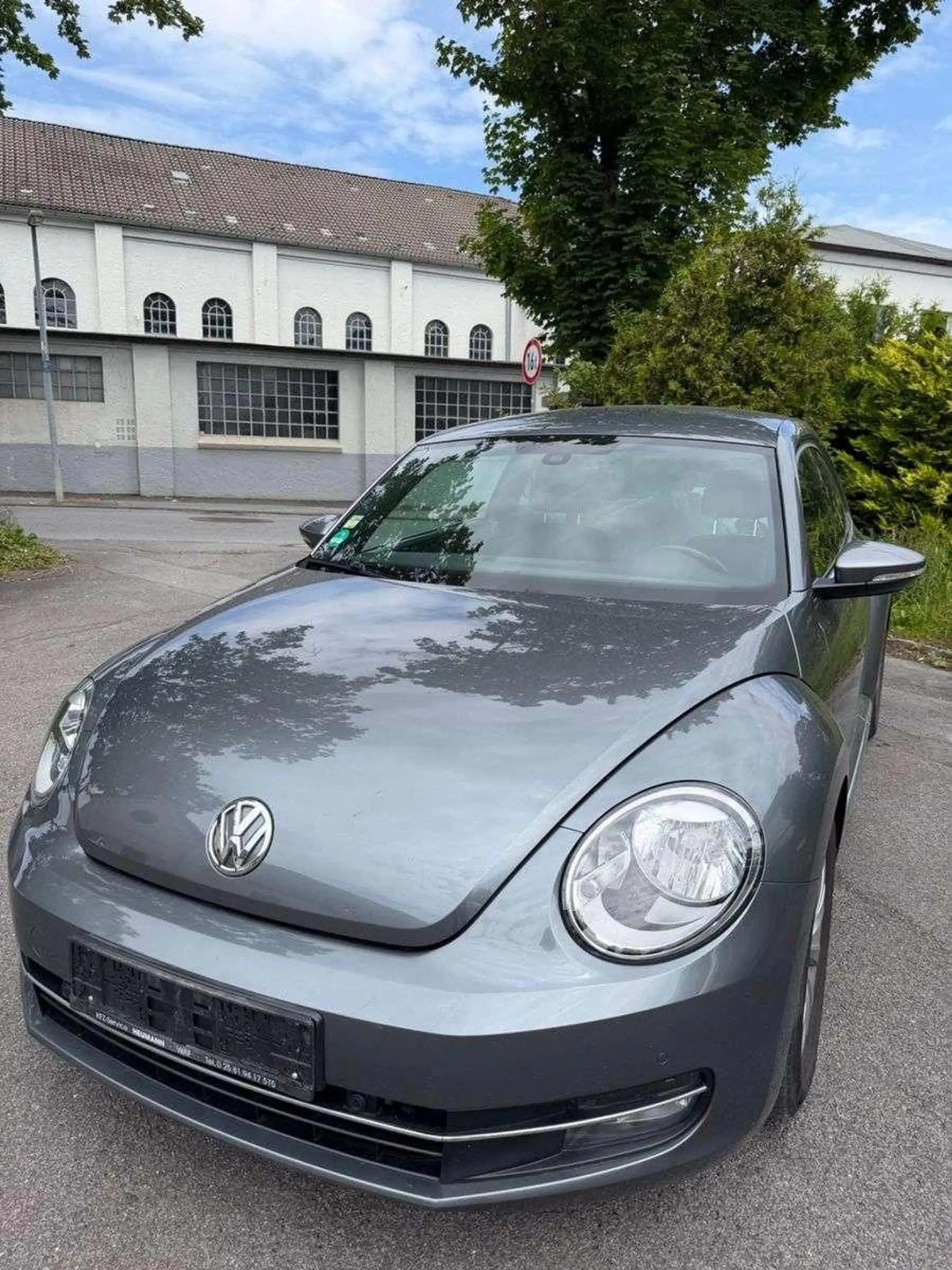Volkswagen Beetle Lim. Design-65.000 KM-Kette Wapu Neu