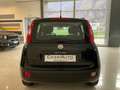 Fiat Panda 1.2 Lounge 69cv Nero - thumbnail 5