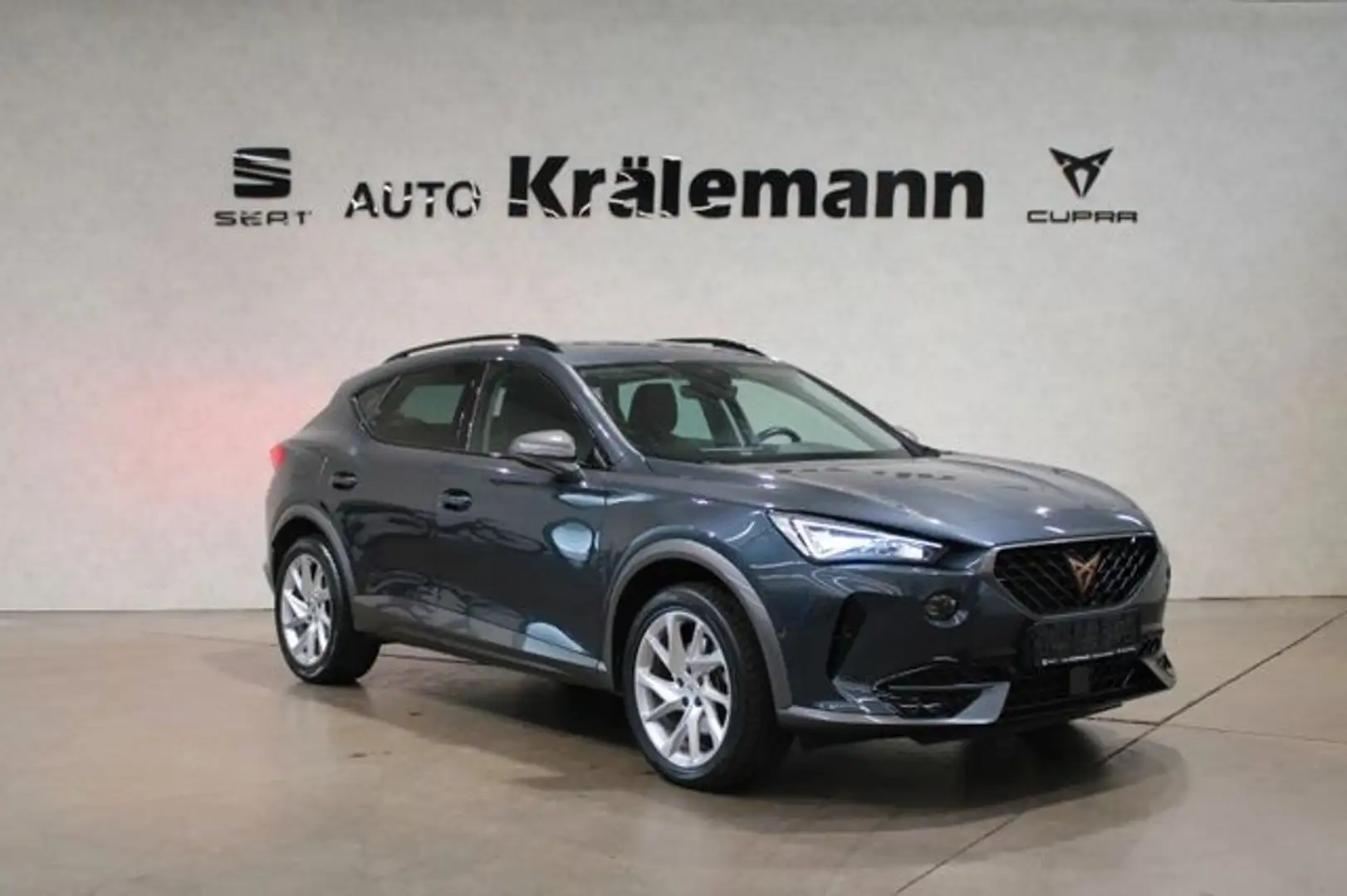 CUPRA Formentor 2.0TDI DSG 4Drive*Navi*LED*AHK* Grau - 1