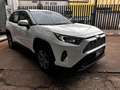 Toyota RAV 4 MY23 RAV4 2.5 HV (218CV) E-CVT 2WD Active Wit - thumbnail 3