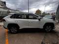 Toyota RAV 4 MY23 RAV4 2.5 HV (218CV) E-CVT 2WD Active Wit - thumbnail 5