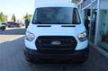 Ford Transit KASTEN Trend 2.0 310 L2 3,99% FIN * AHK Weiß - thumbnail 3