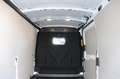 Ford Transit KASTEN Trend 2.0 310 L2 3,99% FIN * AHK Weiß - thumbnail 10