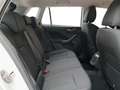 Skoda Kamiq Kamiq 1.0 TSI Ambition Bianco - thumbnail 8