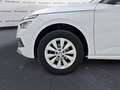 Skoda Kamiq Kamiq 1.0 TSI Ambition Bianco - thumbnail 6