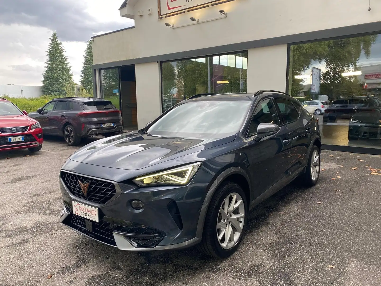 CUPRA Formentor Formentor 2.0 tdi 150cv Grigio - 2