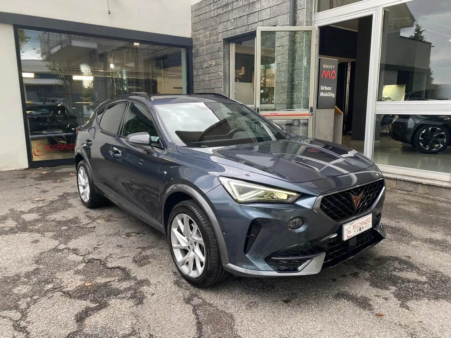 CUPRA Formentor Formentor 2.0 tdi 150cv Grigio - 1