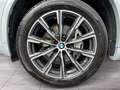 BMW X5 xDrive40i // Carbon Interieur // Harman Kardon Sur Grau - thumbnail 12