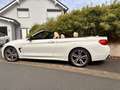 BMW 435 435i Cabrio Sport-Aut. M Sport Weiß - thumbnail 2