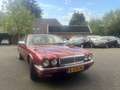Daimler Double Six Double Six 4.0 Rot - thumbnail 6