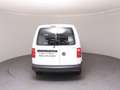 Volkswagen Caddy VW Caddy Maxi T6 Kastenwagen TDI 4MOTION Blanc - thumbnail 6